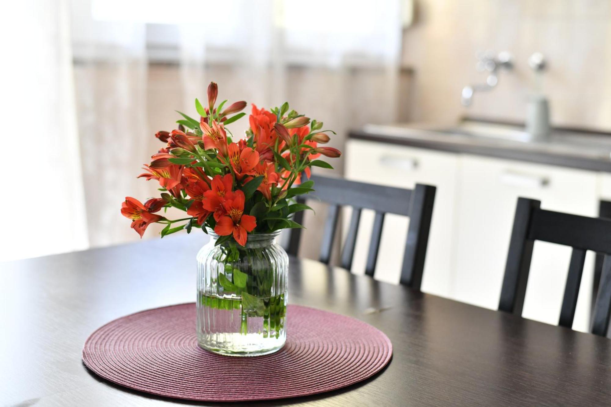 Apartment Cozy 16a *